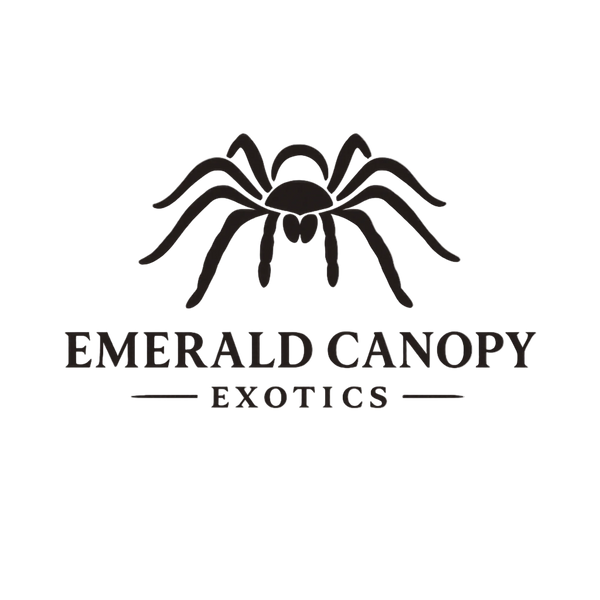 Emerald Canopy Exotics