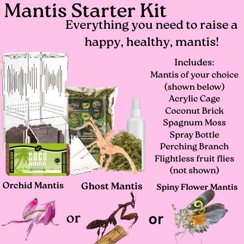Mantis Starter Kit - Complete Setup for Beginners